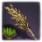 稲の種の束.jpg