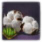 綿の種の束.jpg